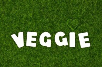 What Are the Best Wellness Habits for a Healthy Heart?